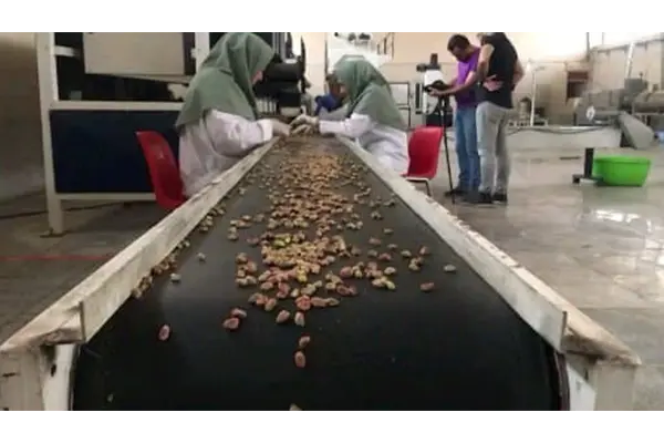 pistachios exporter