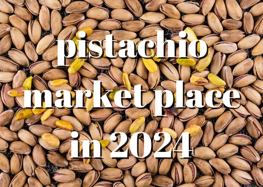 global Pistachio market size in 2024